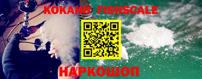 крисы Моздок