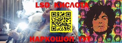 крисы Моздок