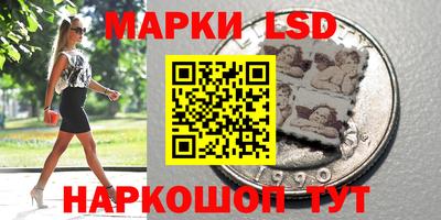 крисы Моздок
