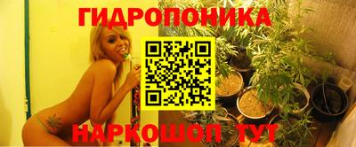 крисы Моздок