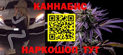 крисы Моздок