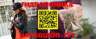 крисы Моздок