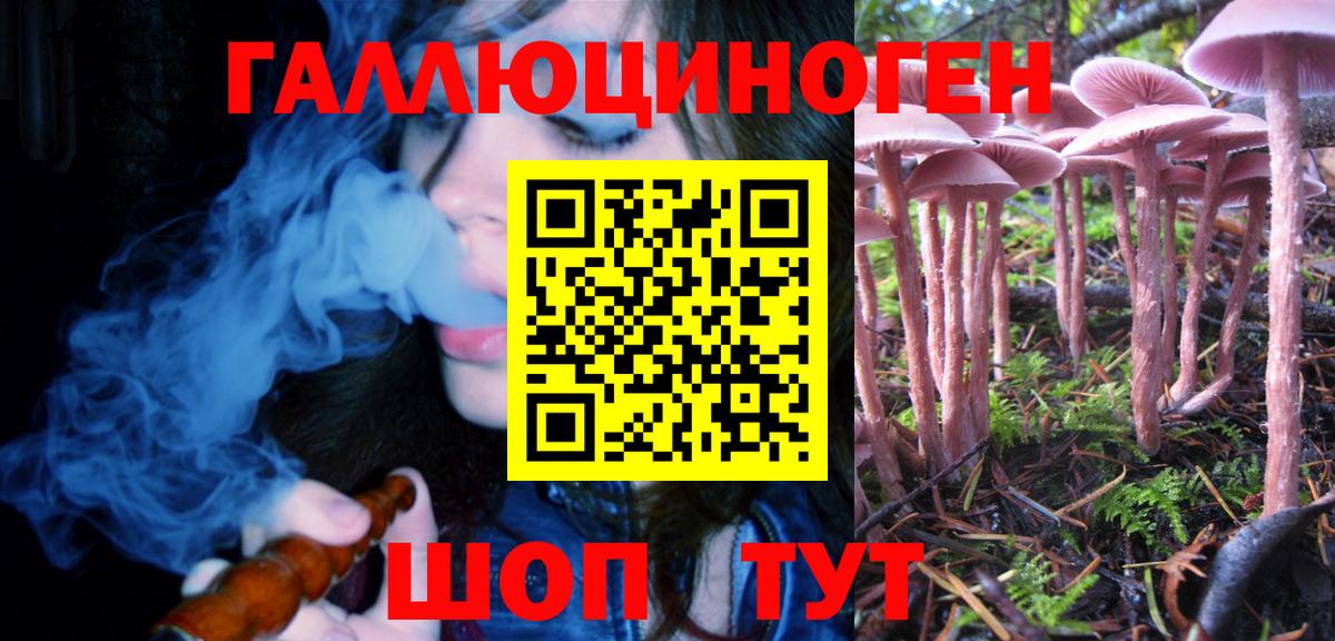 Галлюциногенные грибы Psilocybe Вятские Поляны
